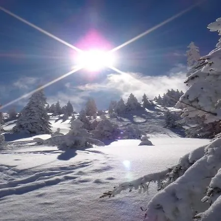 Daire Bergliebe By Managers